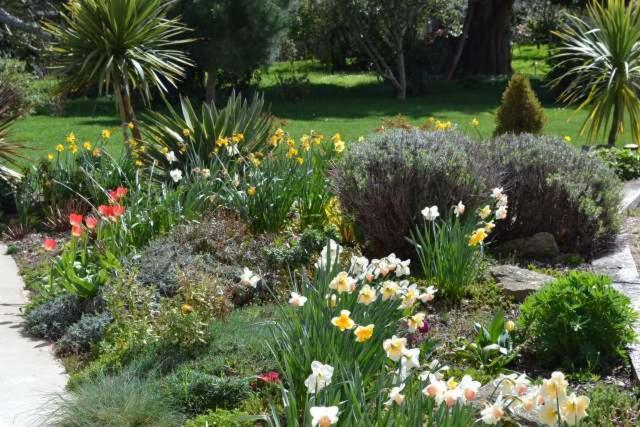 Le Tertre Gatinais Bed & Breakfast Saint-Briac-sur-Mer Eksteriør bilde