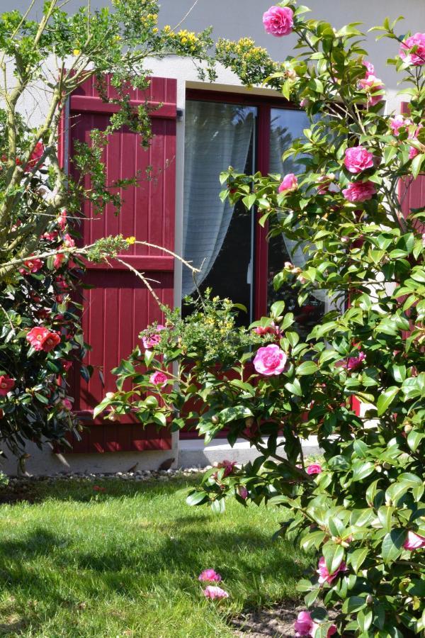 Le Tertre Gatinais Bed & Breakfast Saint-Briac-sur-Mer Eksteriør bilde